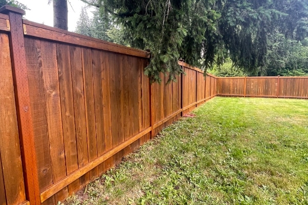 Fence and Deck Staining Service Near Me in Olympia WA 3