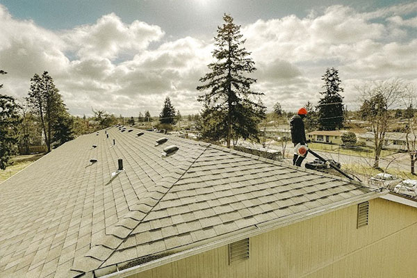 Roof Cleaning Company Near Me in Olympia WA 02