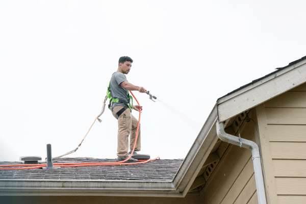 Roof Moss Removal Service Near Me in Olympia WA 1