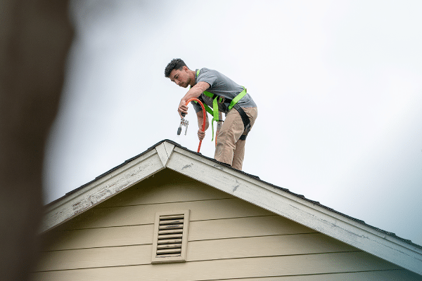 Roof Moss Removal Service Near Me in Olympia WA 2